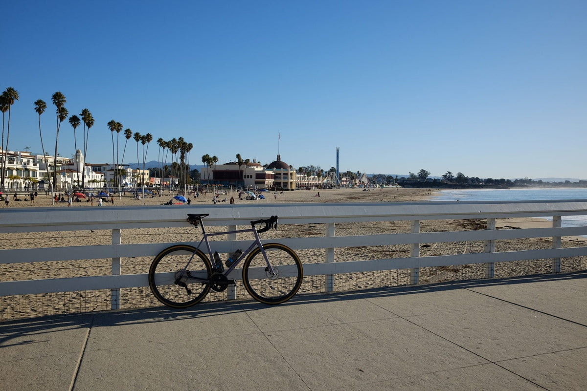 A steel road bike leaning on a white rail above the beach, palm trees along the shore